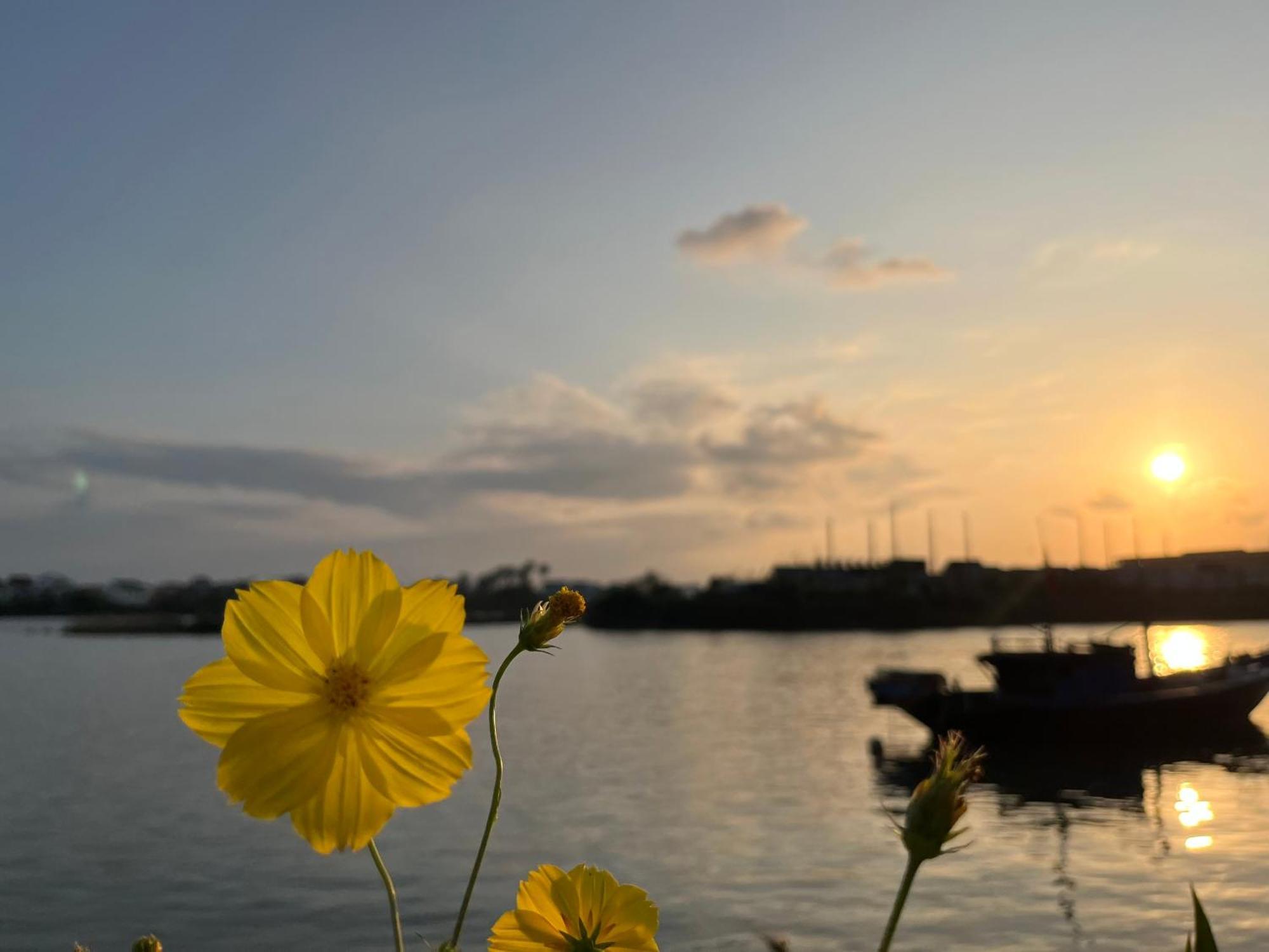 Roxana River Villa Hội An Kültér fotó